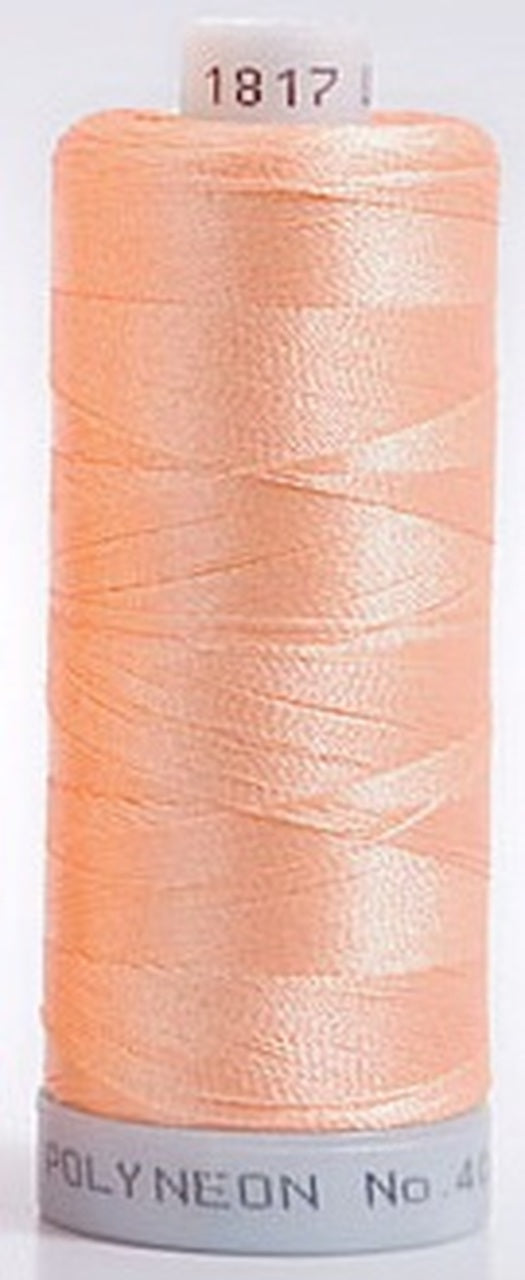Polyneon Embroidery Thread Strip 10 (Brown/Peach)
